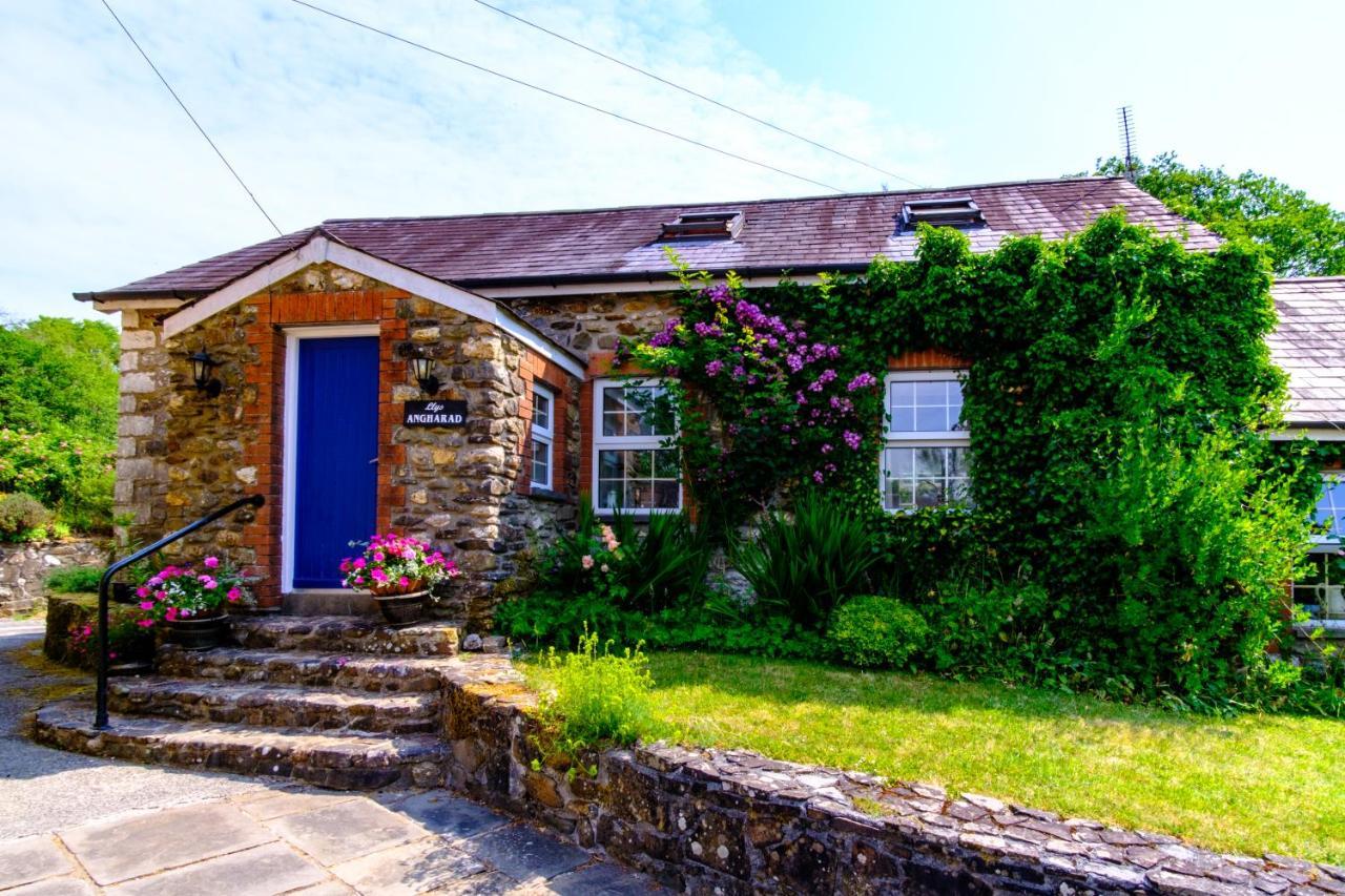 Lakeside Cottage Carmarthen Dış mekan fotoğraf