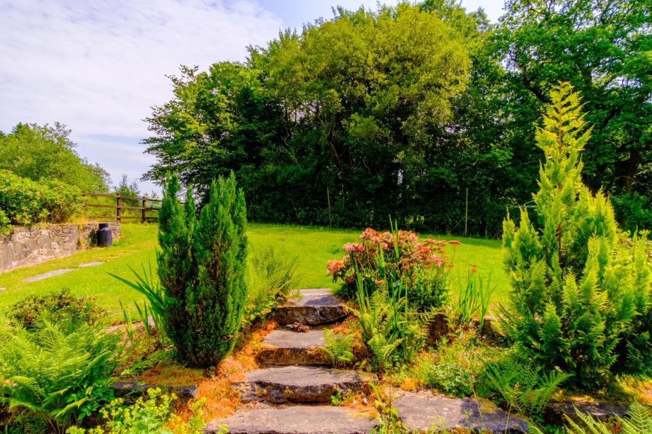 Lakeside Cottage Carmarthen Dış mekan fotoğraf