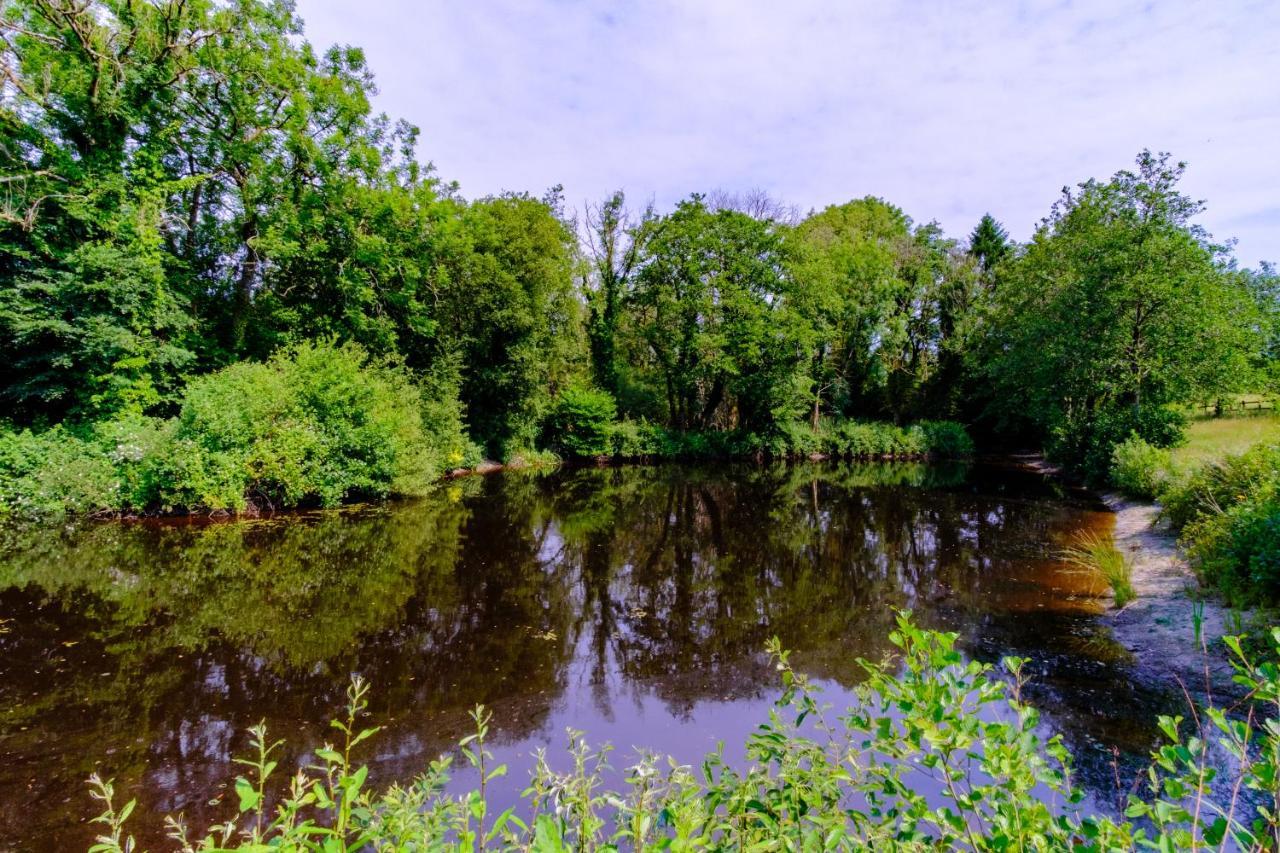 Lakeside Cottage Carmarthen Dış mekan fotoğraf